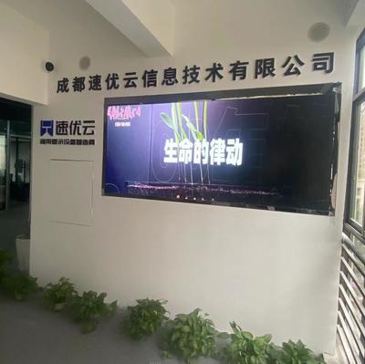成都速优云信息技术